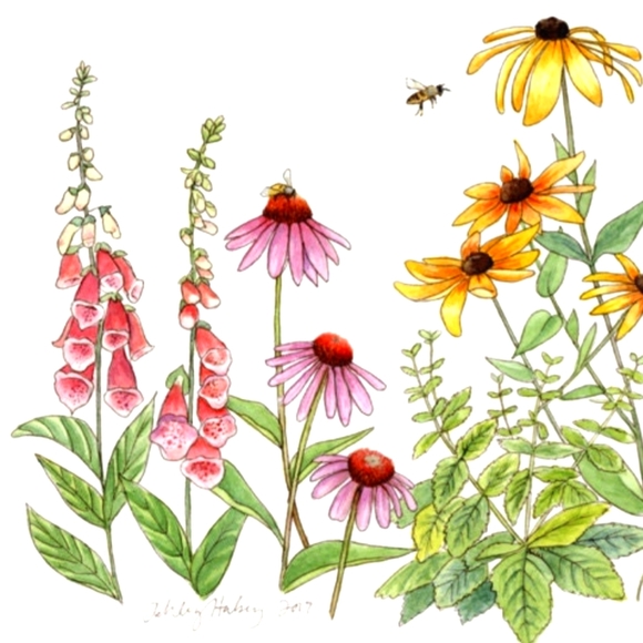 Meet your Posher, Sarah - Picture 1 of 1